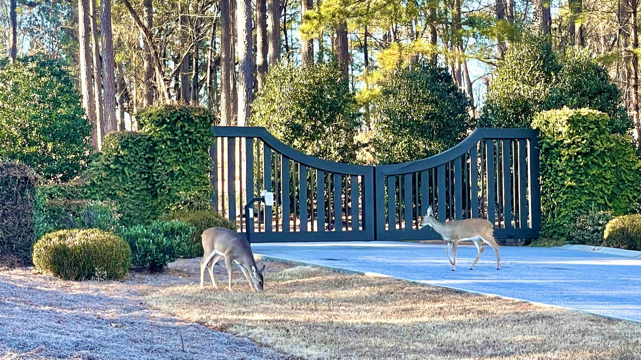 Photo of Outdoor in West Union