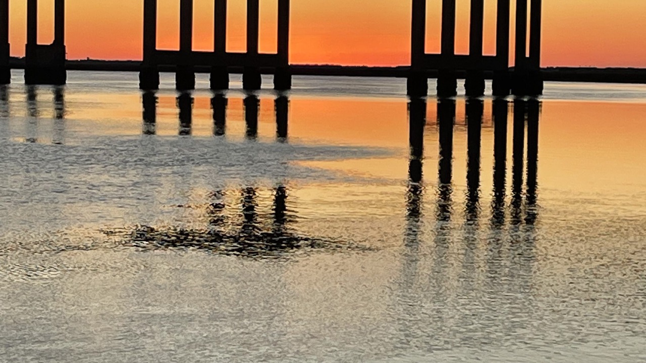 Photo of Outdoor in Beaufort