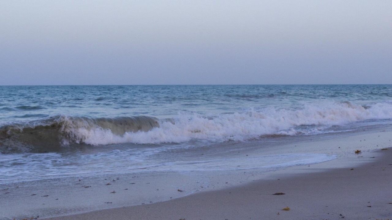 Photo of Others in Vero Beach