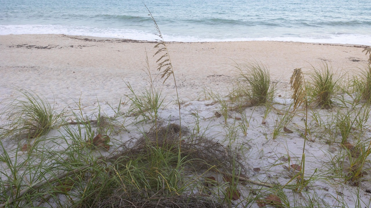 Photo of Others in Vero Beach
