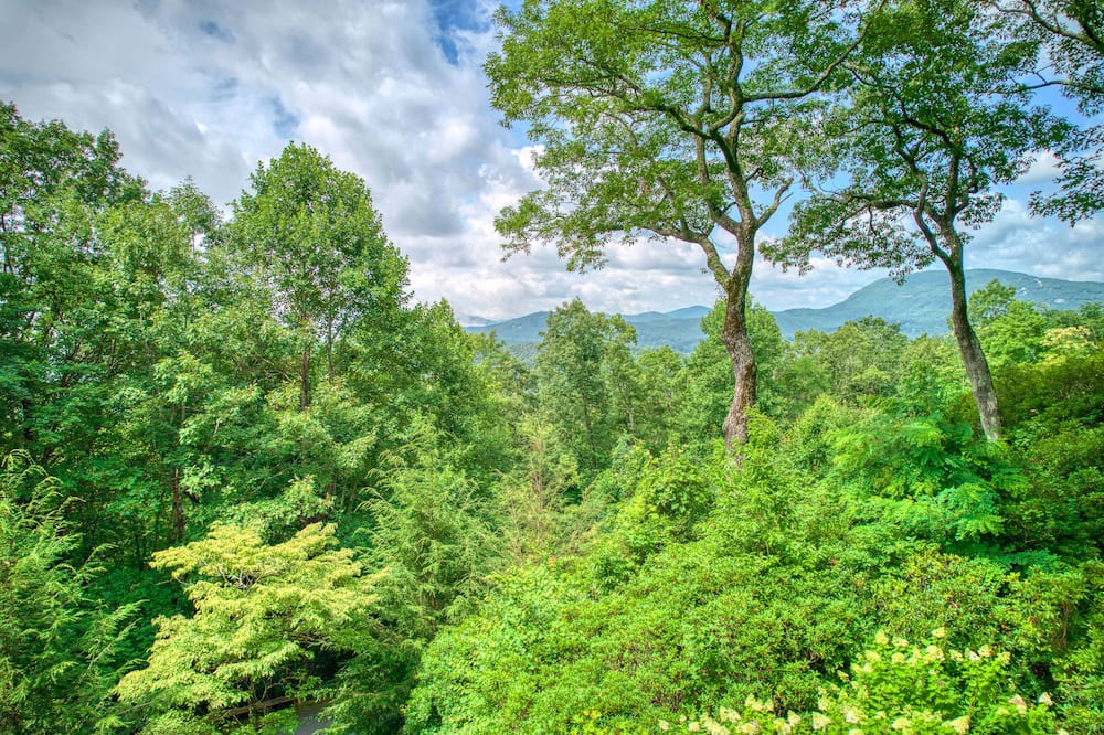 Photo of Others in Lake Toxaway