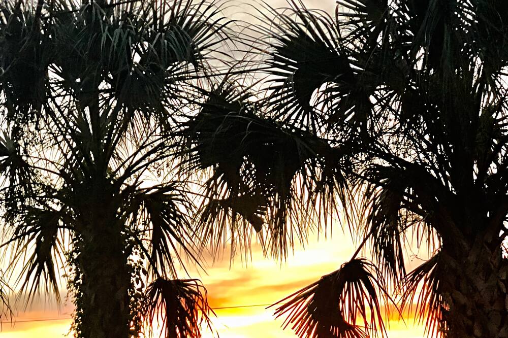 Photo of Outdoor in Palm Bay