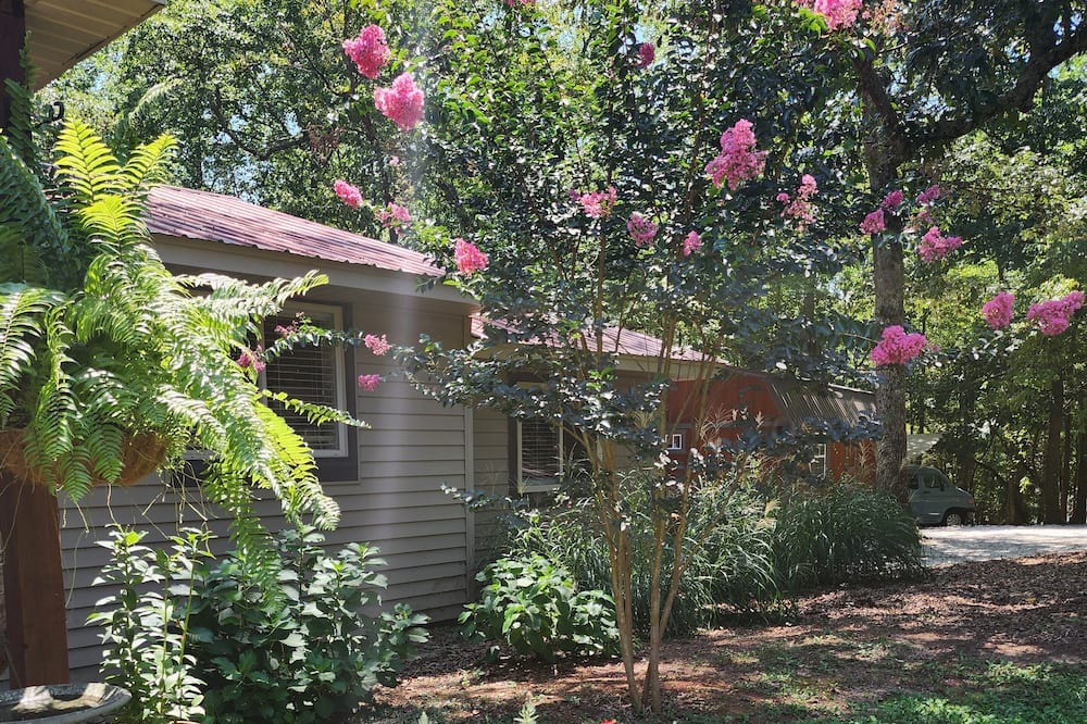 Photo of Outdoor in Central
