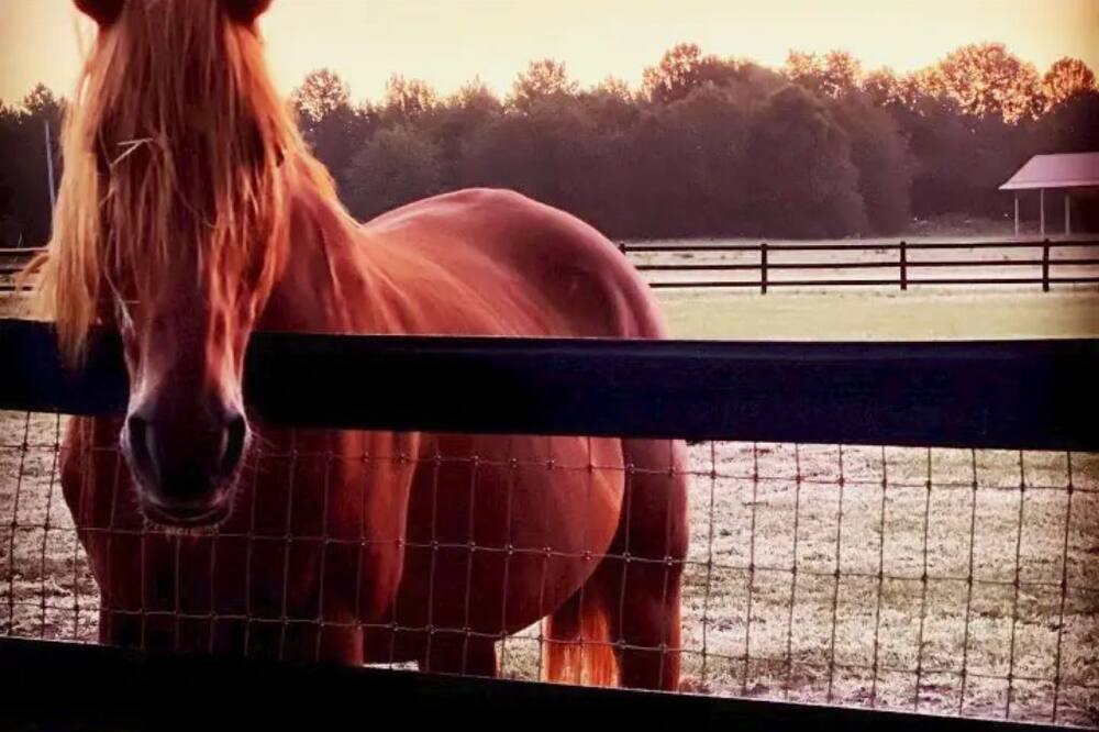 Photo of Outdoor in Aiken