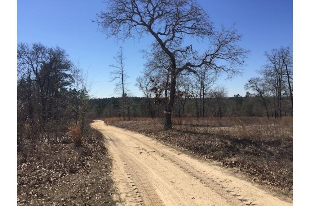 Photo of Others in Aiken