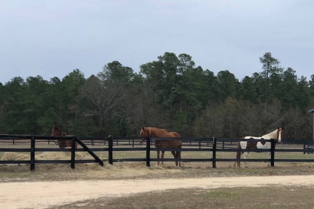 Photo of Others in Aiken