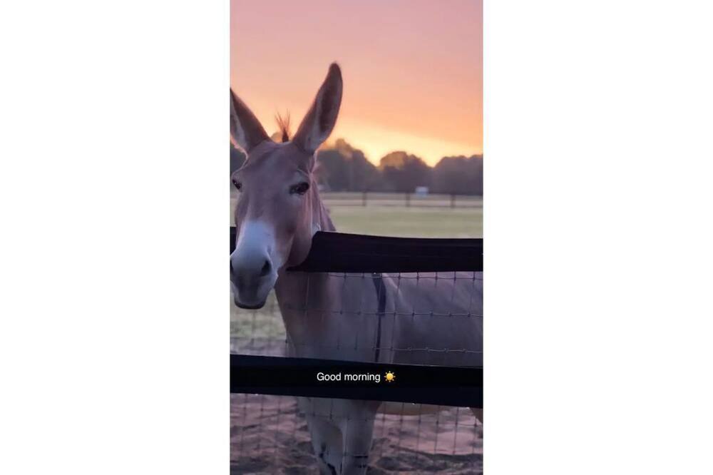 Photo of Outdoor in Aiken