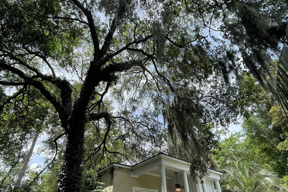 Photo of Outdoor in Beaufort