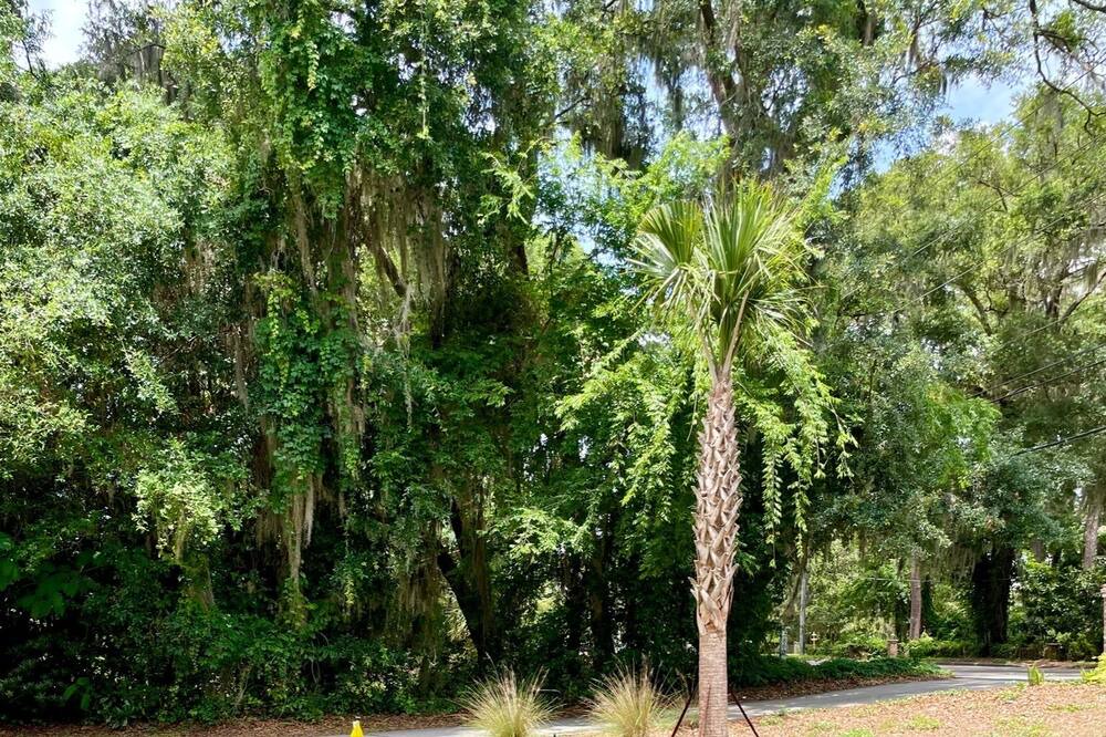 Photo of Outdoor in Beaufort