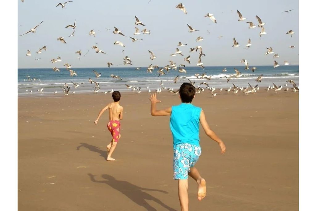 Photo of Others in Melbourne Beach