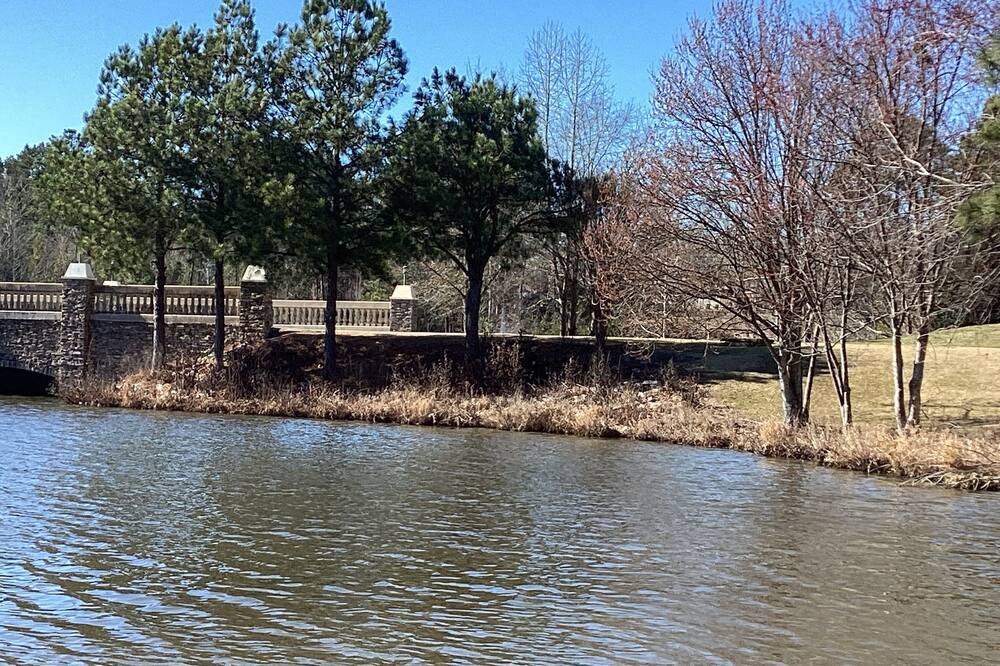 Photo of Others in Lake Carolina