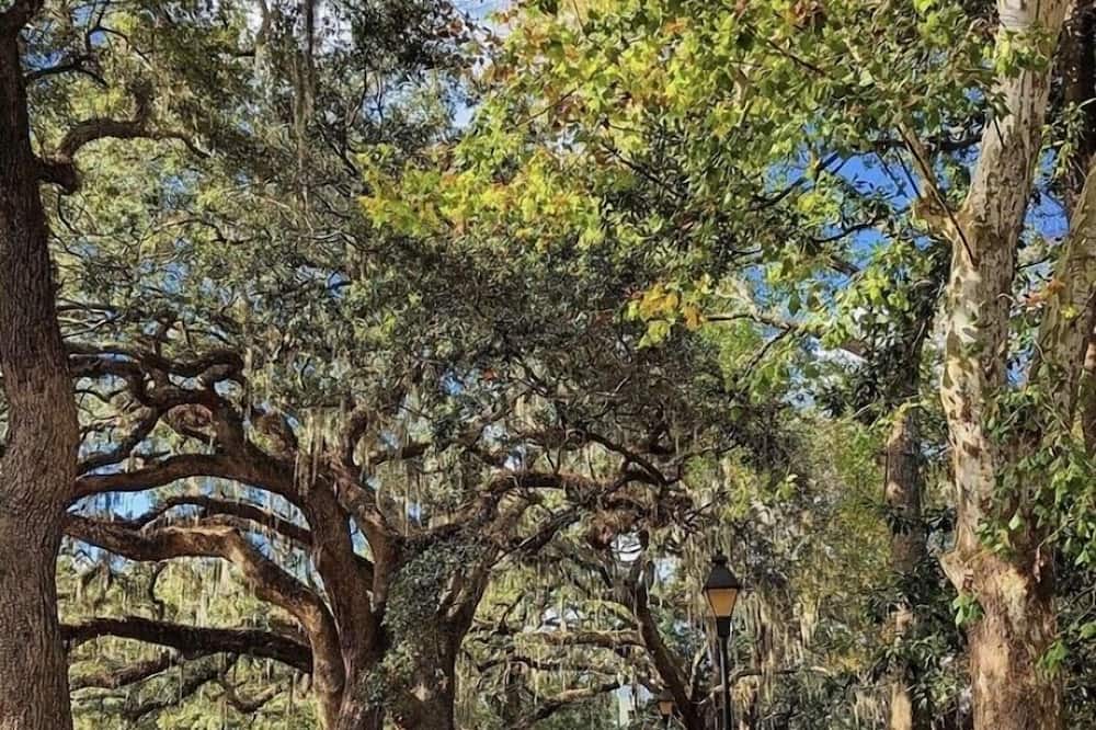 Photo of Outdoor in Old West Broad Neighborhood