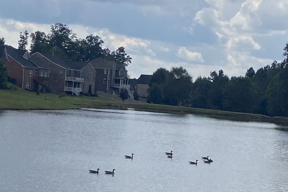 Photo of Others in Boiling Springs