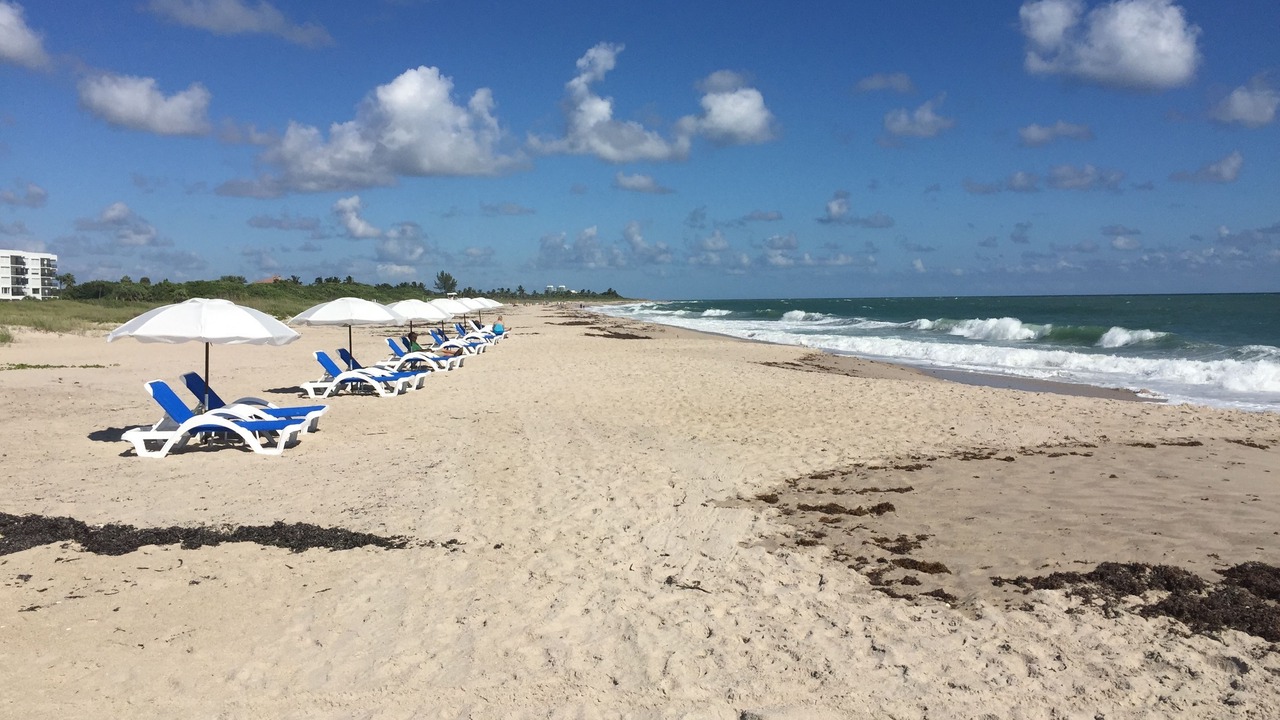 Photo of Outdoor in Vero Beach