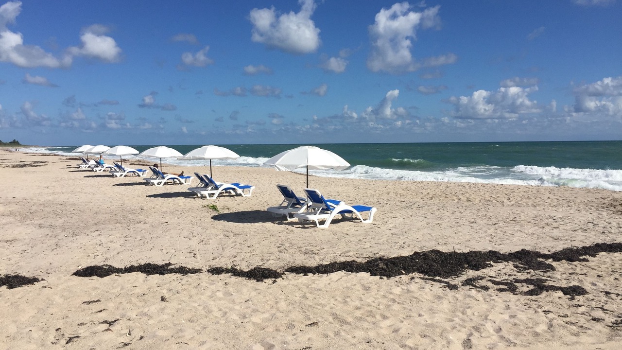 Photo of Outdoor in Vero Beach