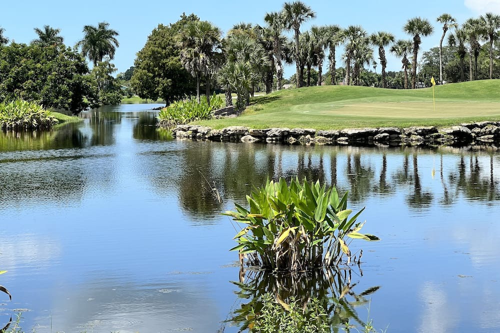 Photo of Others in Lely Golf Estates