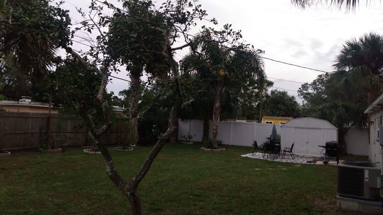 Photo of Outdoor in Meadowlawn