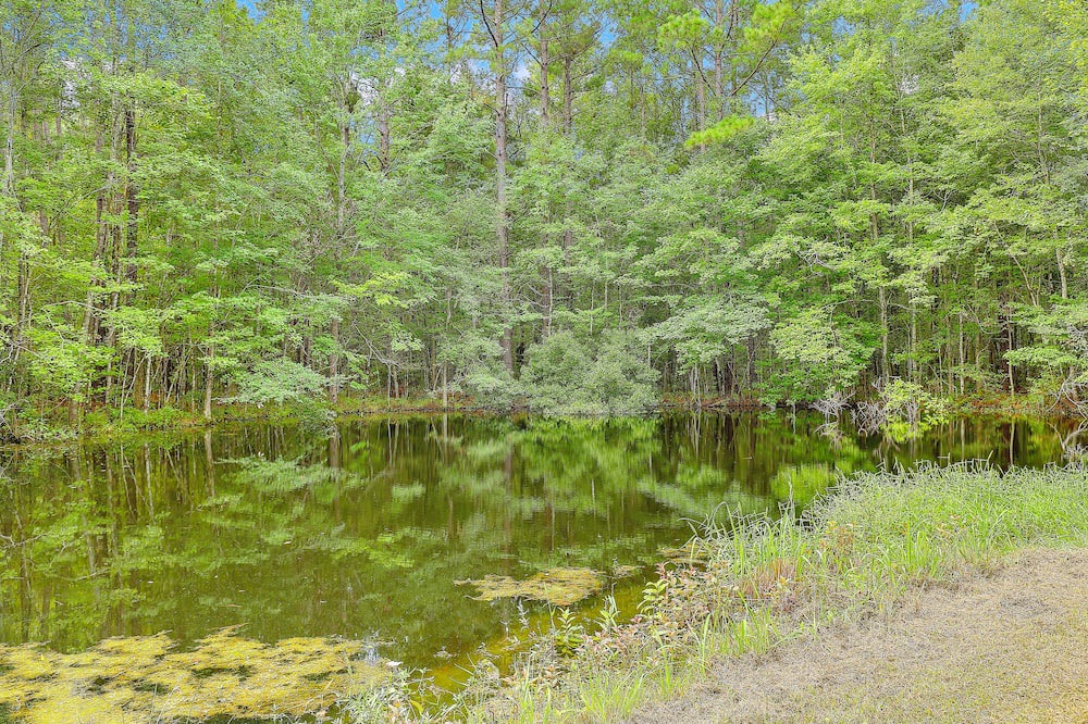 Photo of Others in Moncks Corner