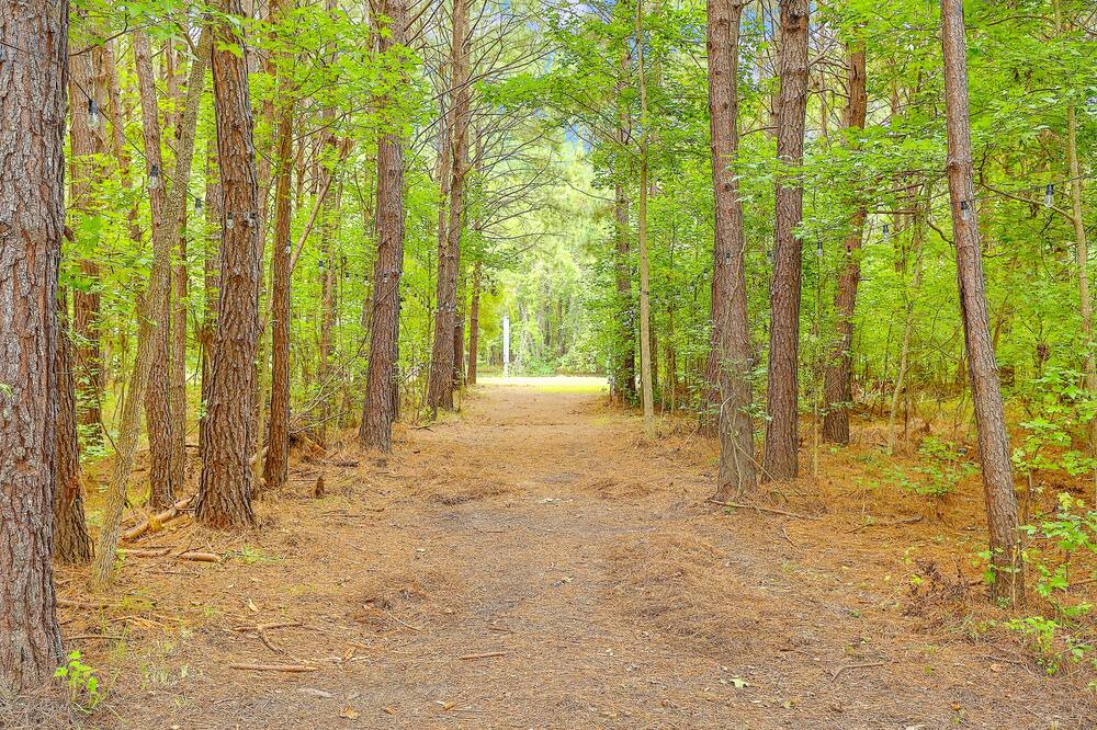 Photo of Others in Moncks Corner