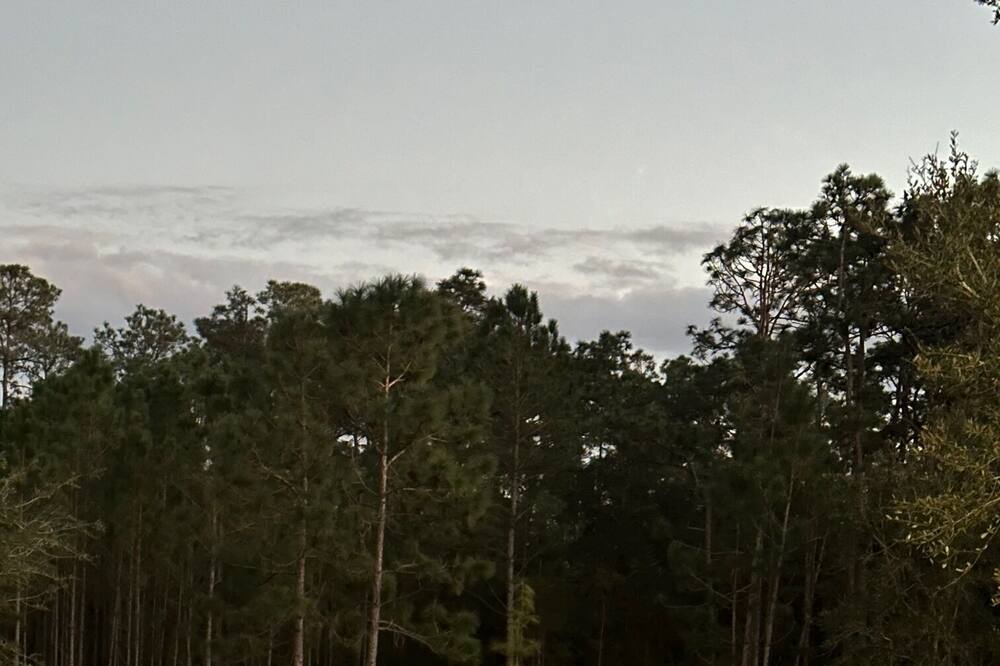 Photo of Outdoor in Fedhaven