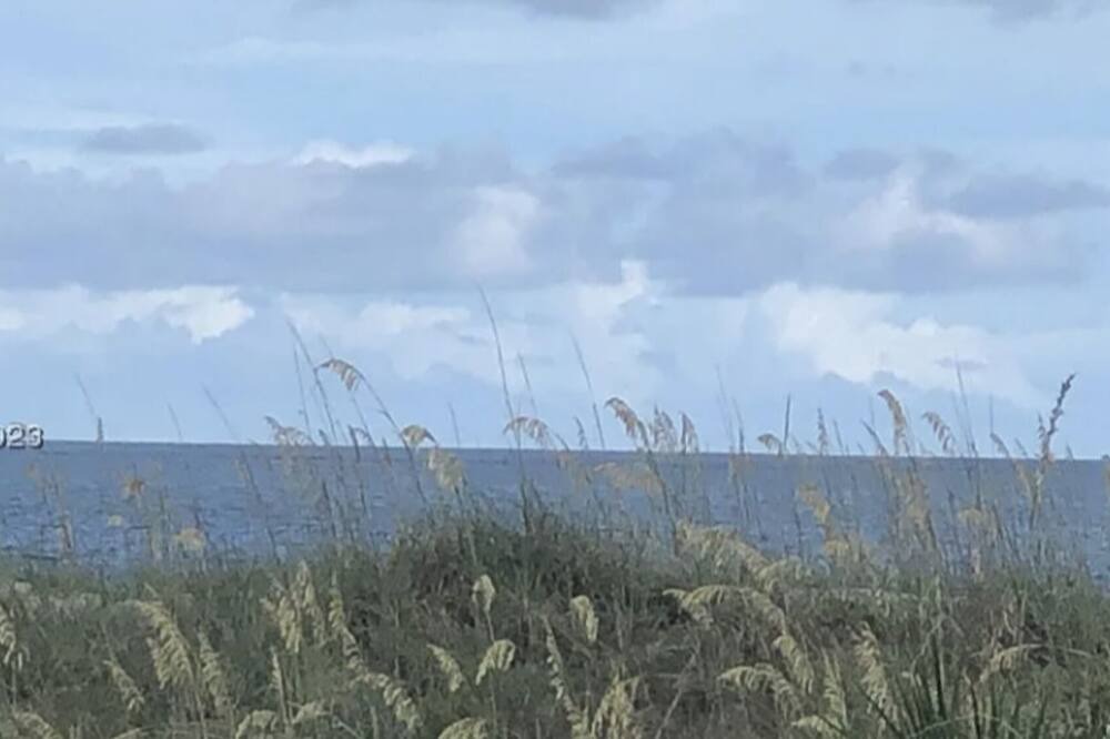 Photo of Outdoor in Folly Field