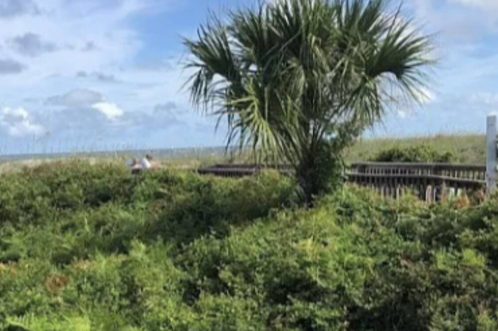 Photo of Outdoor in Folly Field