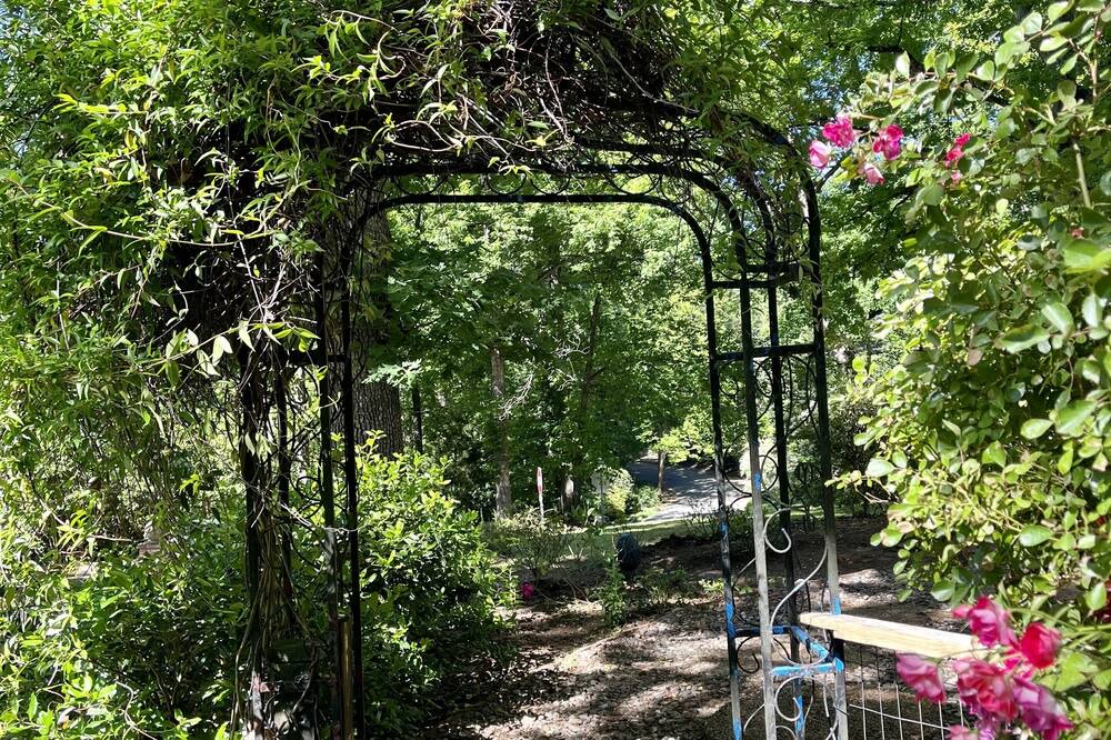 Photo of Outdoor in Greenville