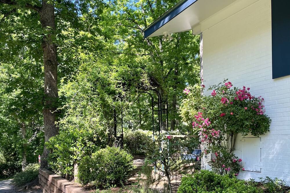 Photo of Outdoor in Greenville