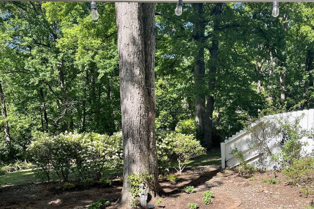 Photo of Outdoor in Greenville