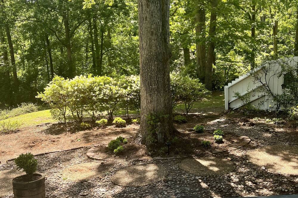 Photo of Outdoor in Greenville