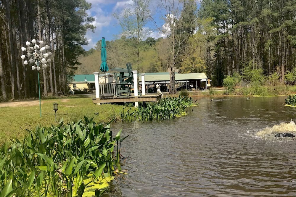 Photo of Outdoor in Adams Run
