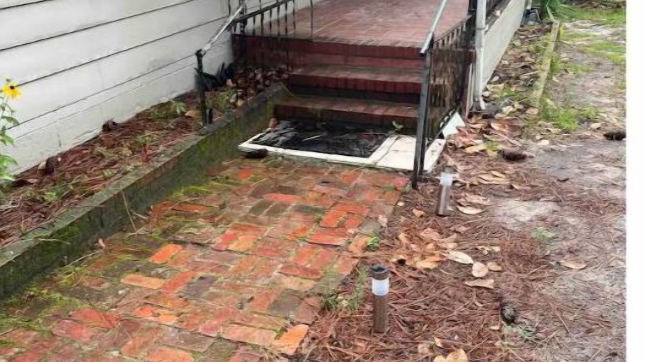 Photo of Outdoor in South View