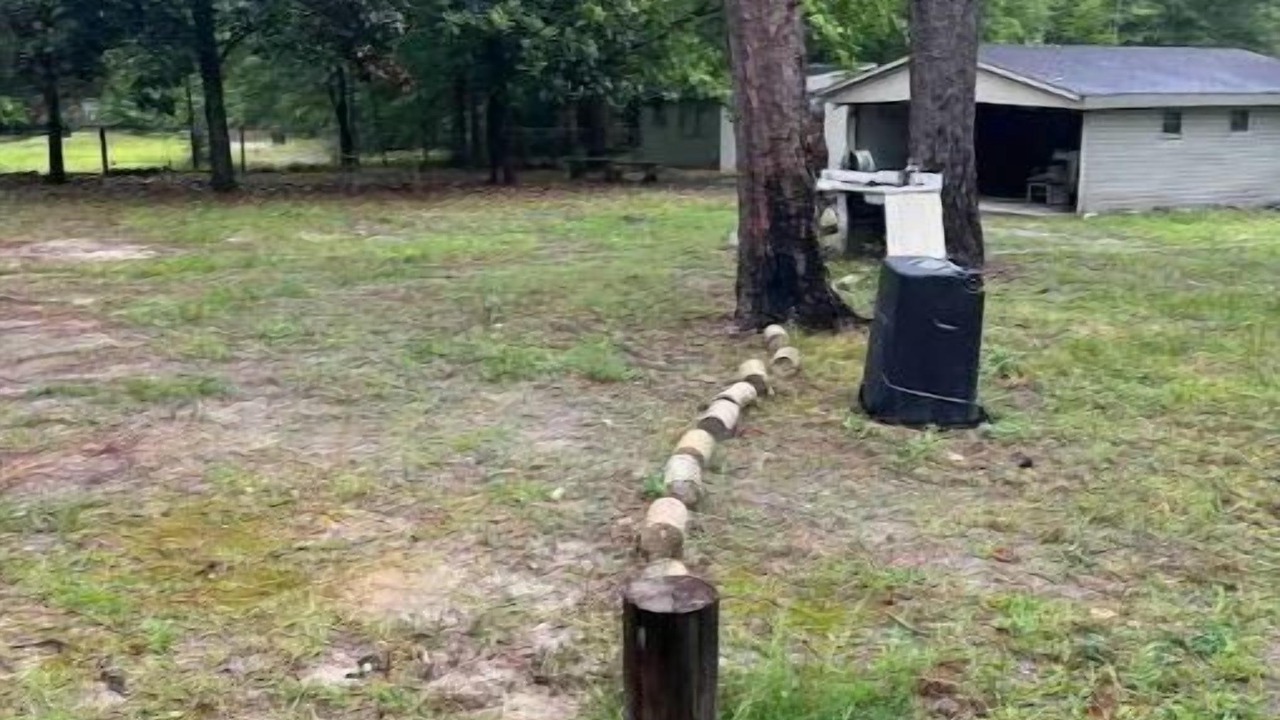 Photo of Outdoor in South View