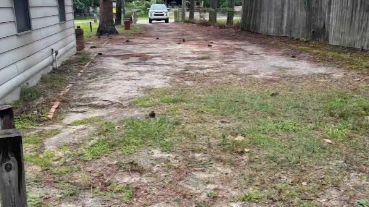 Photo of Outdoor in South View