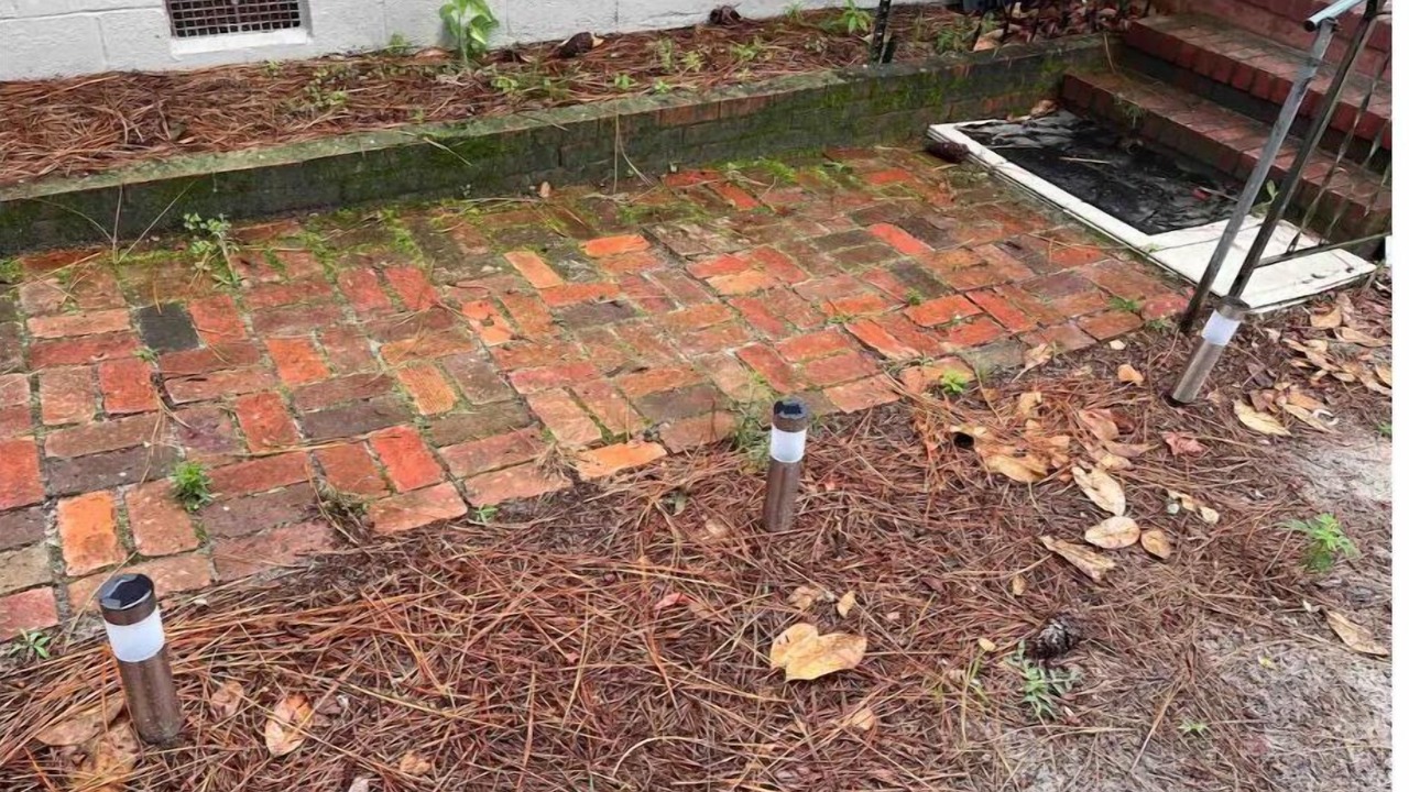 Photo of Outdoor in South View