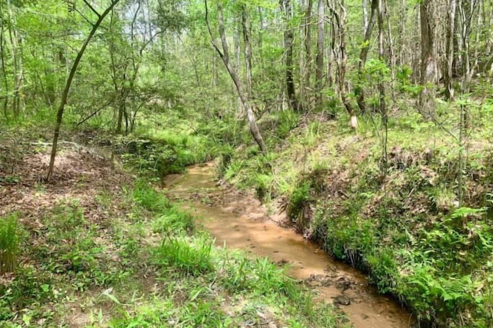 Photo of Outdoor in Elberton