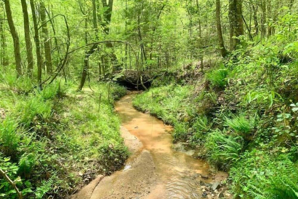 Photo of Others in Elberton