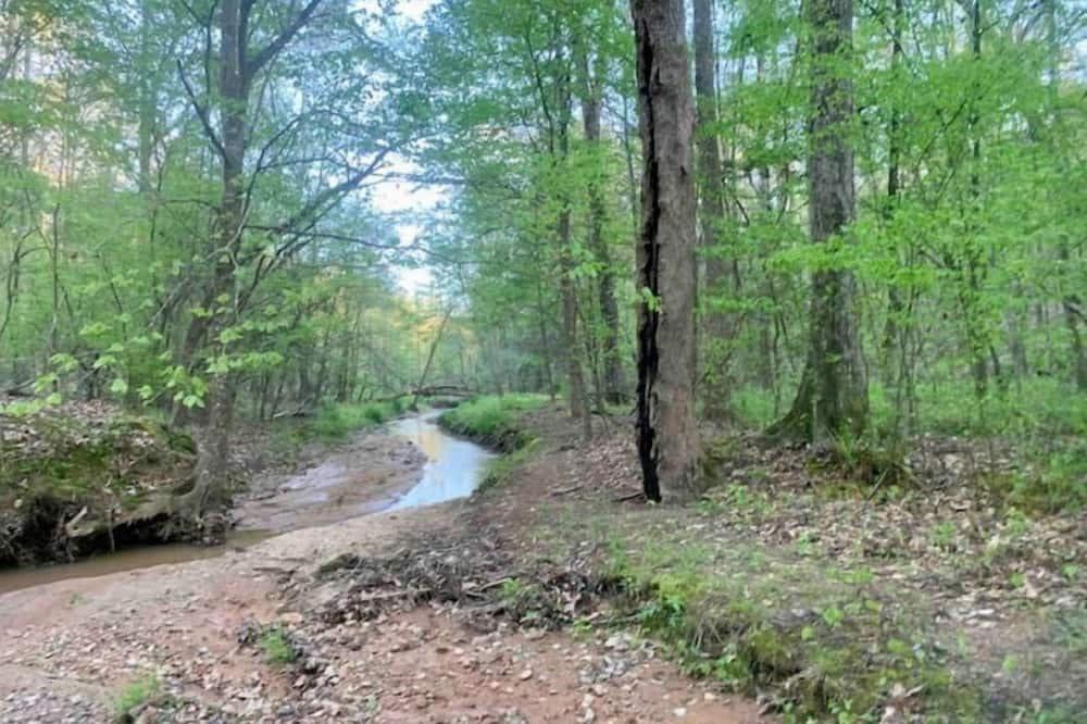 Photo of Outdoor in Elberton