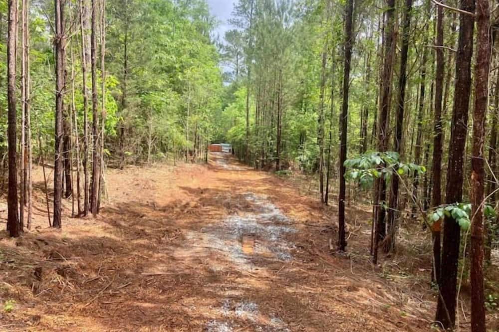 Photo of Outdoor in Elberton