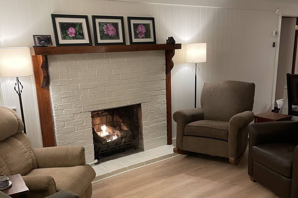Photo of Livingroom in Brevard