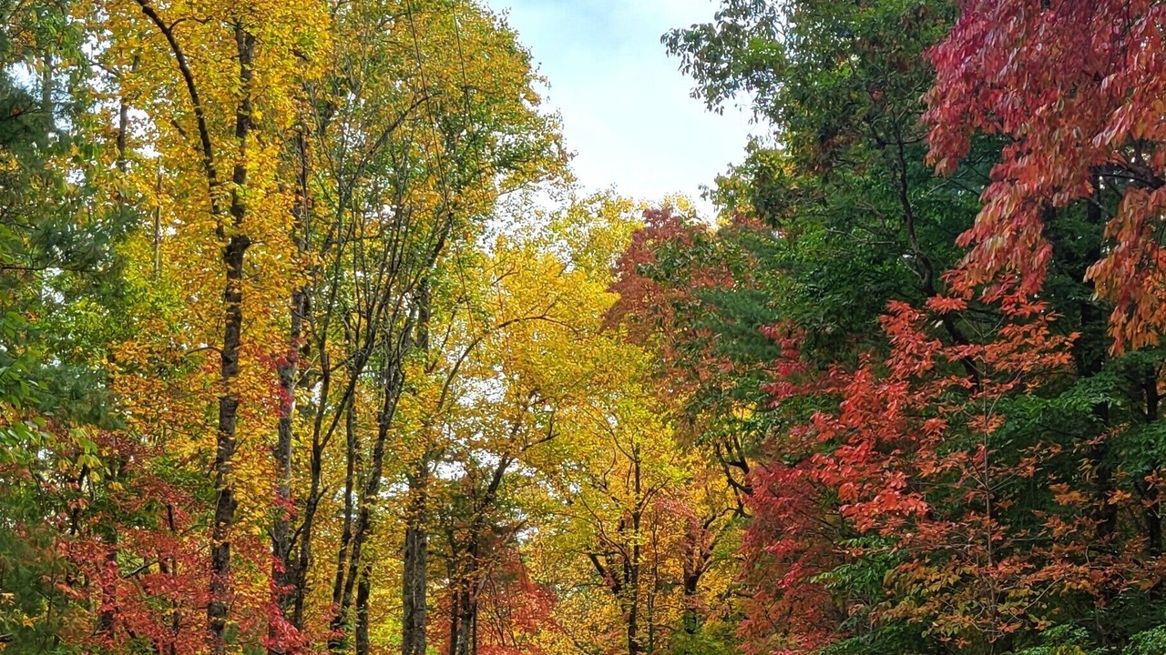 Photo of Outdoor in Mountain Rest