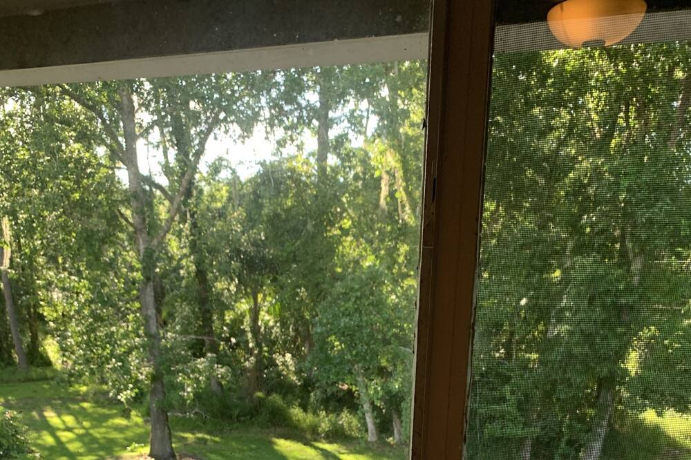 Photo of Outdoor in Longwood