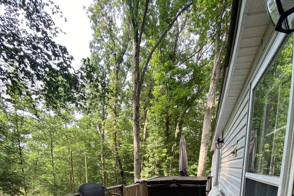 Photo of Outdoor in Townville