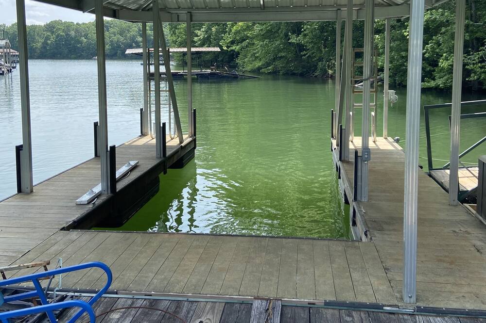 Photo of Outdoor in Townville