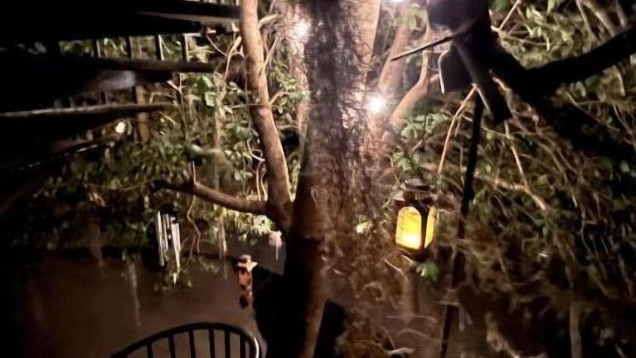 Photo of Outdoor in Chapin