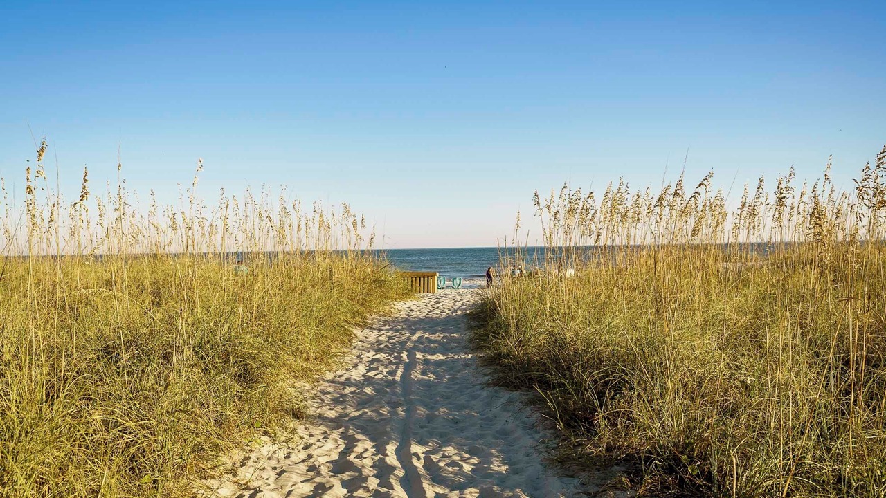 Photo of Others in Hilton Head Island
