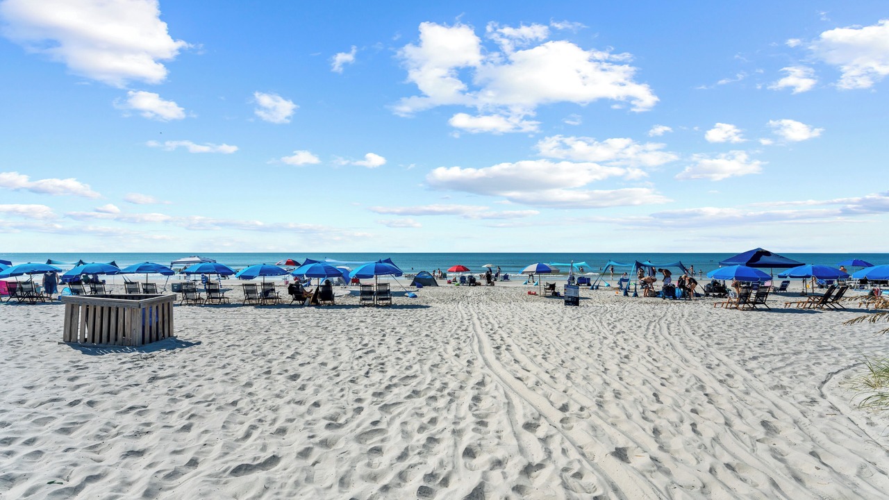Photo of Others in Hilton Head Island