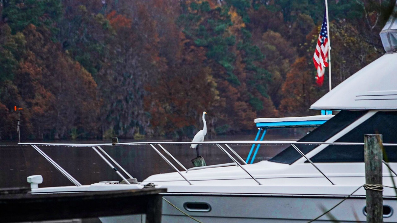 Photo of Outdoor in Eutawville