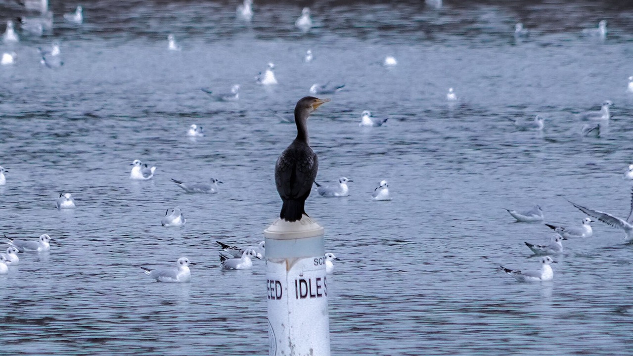 Photo of Others in Eutawville
