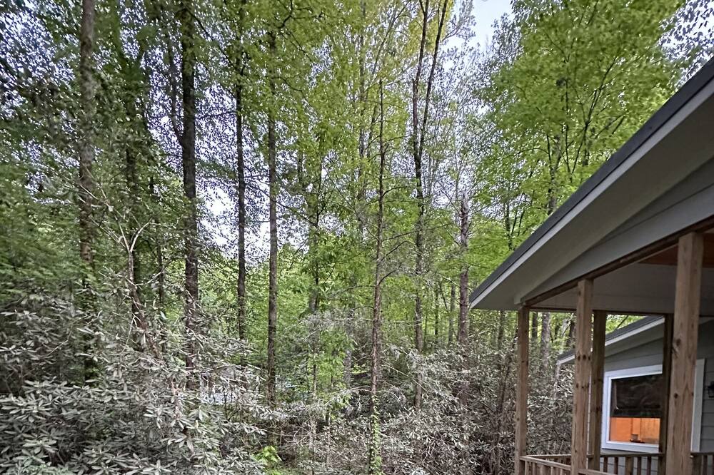 Photo of Outdoor in Rocky Bottom